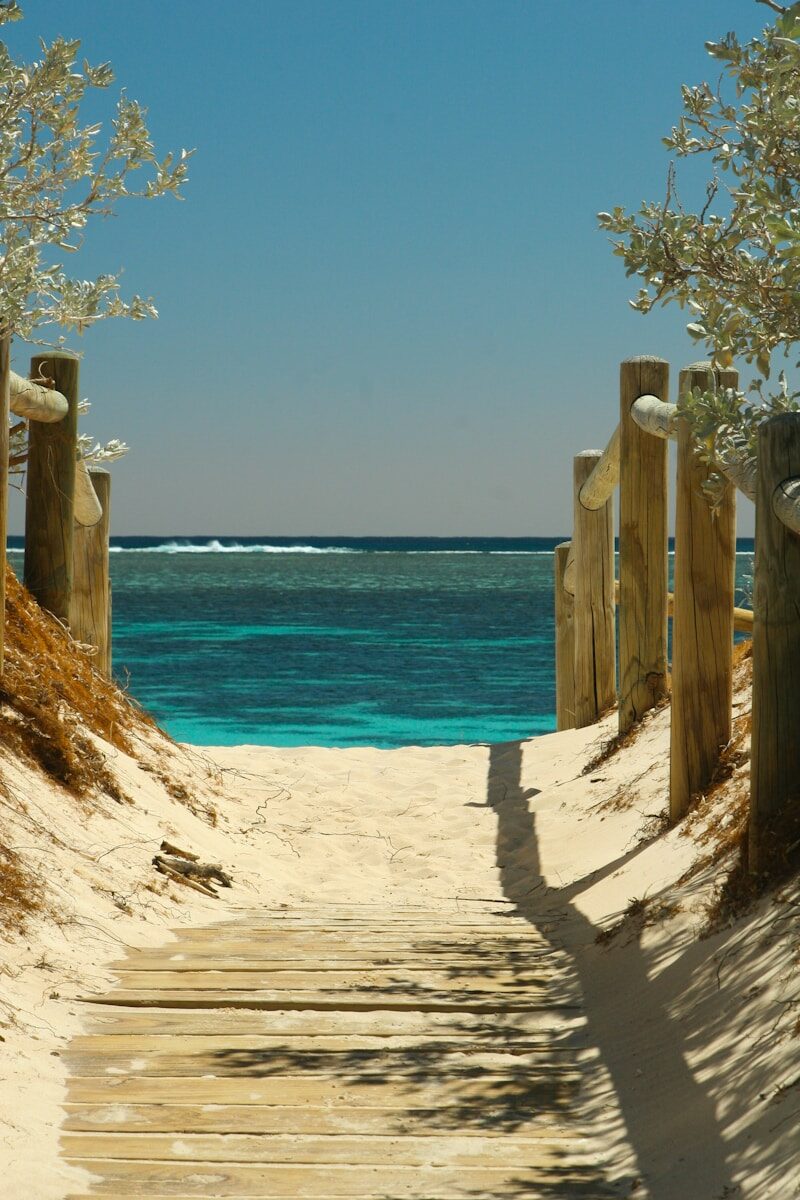 Summer Bucket List Planner Ideas for a Fun and Memorable Season